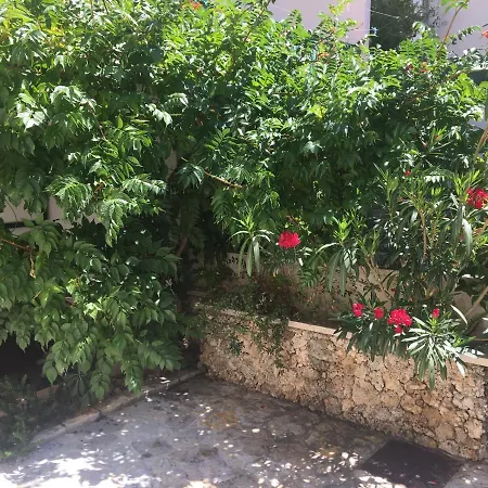 בית הארחה Marino Gojak 3*